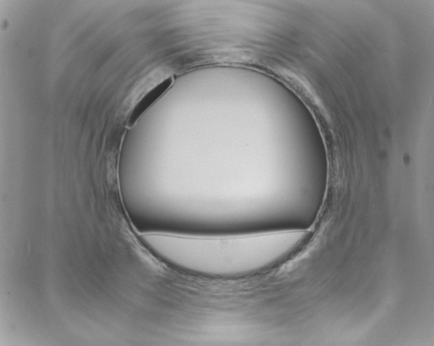 X0000089460889200706151103