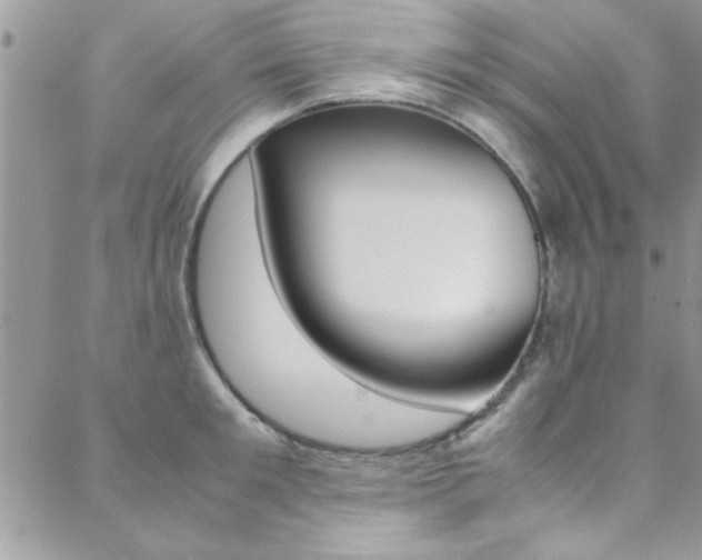 X0000089460901200706151103