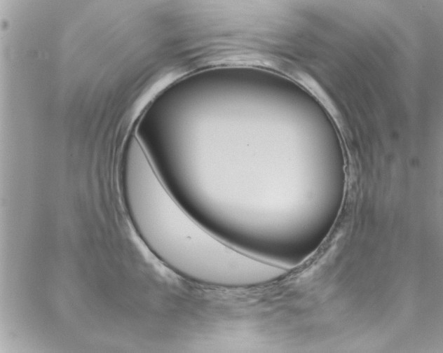 X0000089460909200706151102
