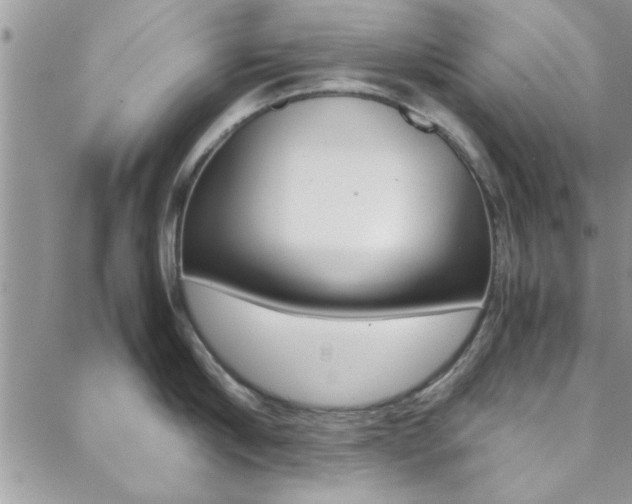 X0000089460910200706151102