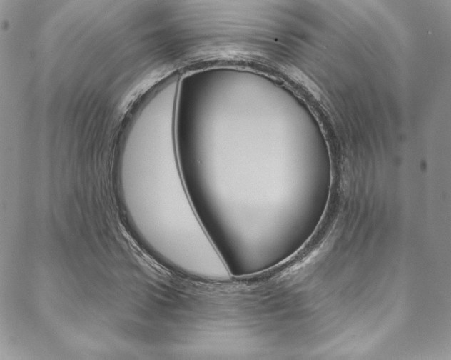 X0000089460922200706151102