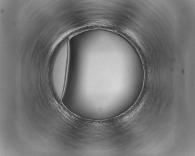 X0000089460923200706151102