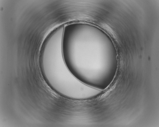 X0000089460924200706151102