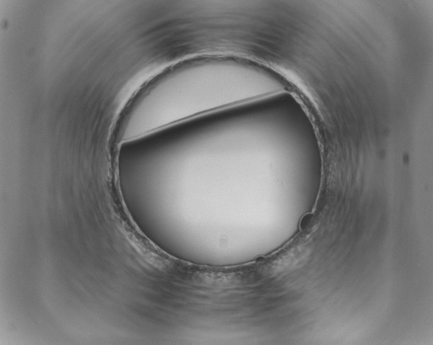 X0000089460927200706151102