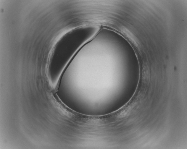 X0000089460932200706151102