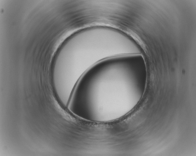 X0000089460934200706151102