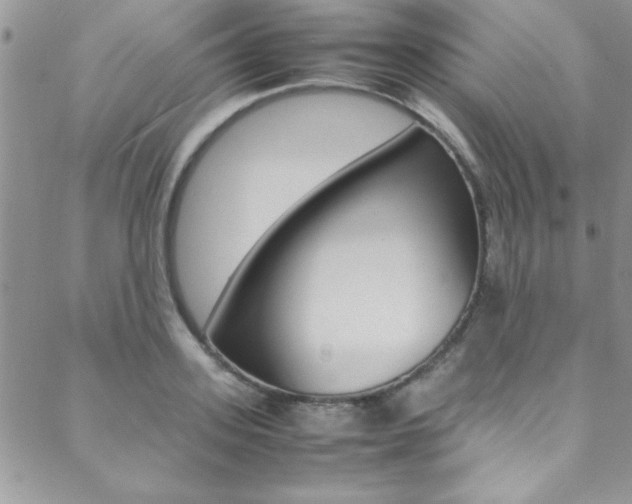X0000089460939200706151102