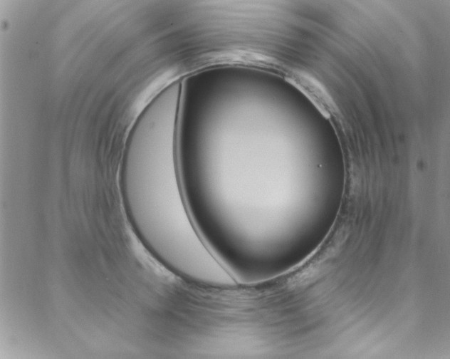 X0000089460946200706151102