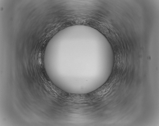 X0000089460962200706151102