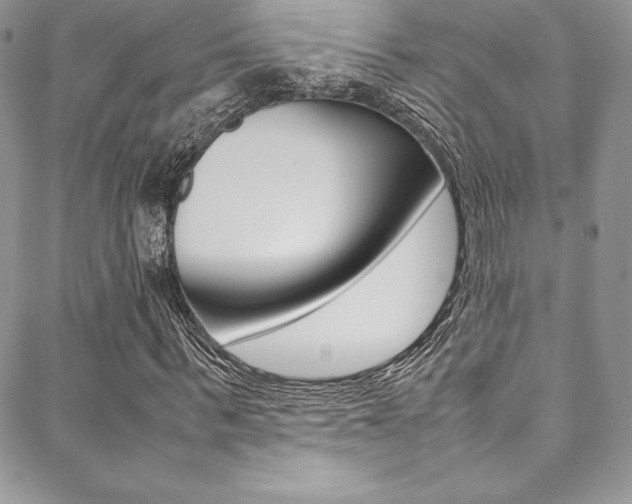 X0000089460963200706151102