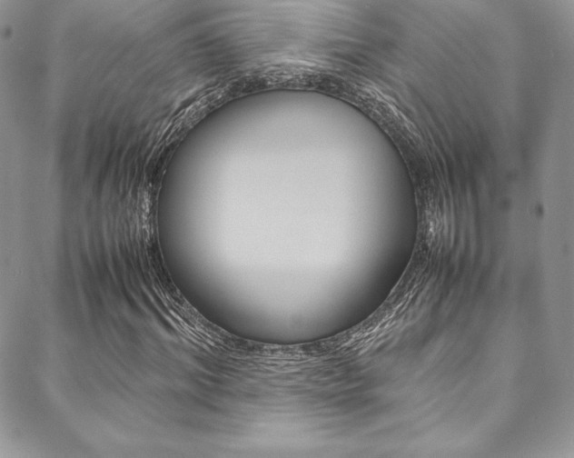 X0000089460964200706151102