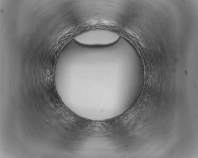 X0000089460966200706151102