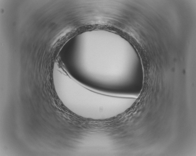 X0000089460967200706151101