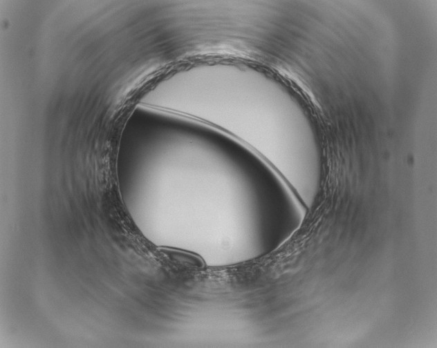 X0000089460968200706151101