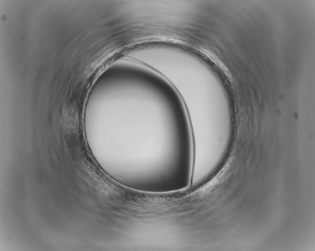 X0000089460969200706151101