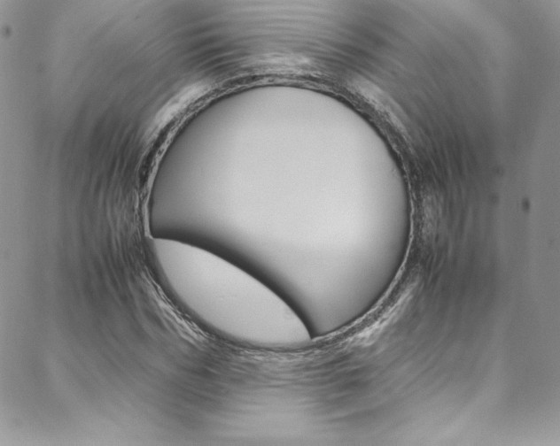 X0000089460970200706151101