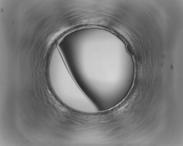 X0000089460971200706151101