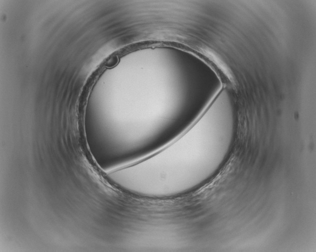 X0000089460972200706151101