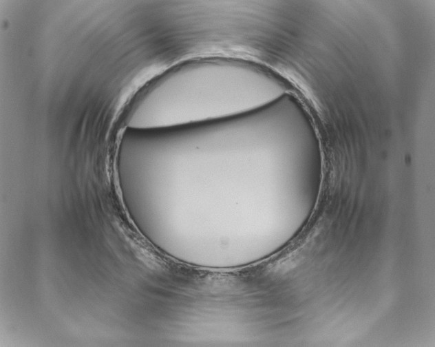X0000089460974200706151101