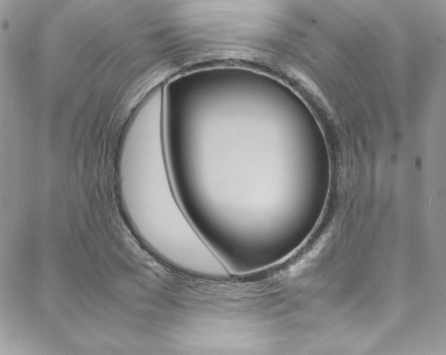 X0000089460977200706151101