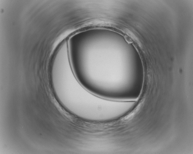 X0000089460981200706151101