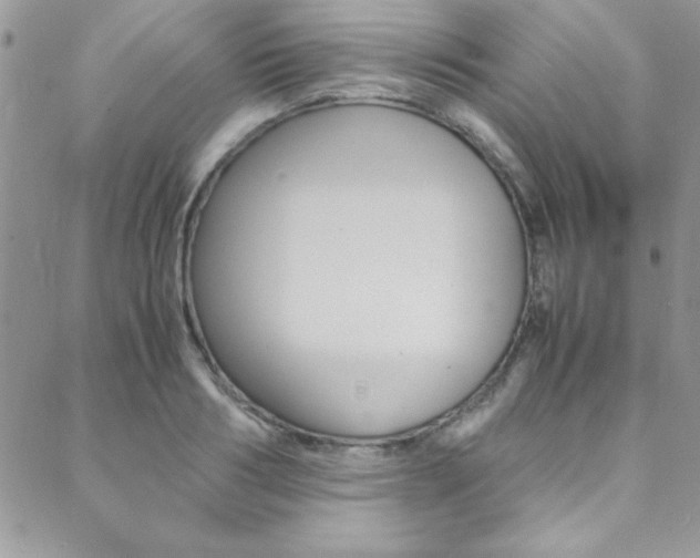 X0000089460986200706151101
