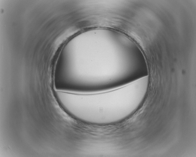 X0000089460987200706151101