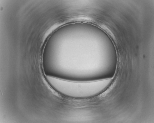 X0000089460989200706151101