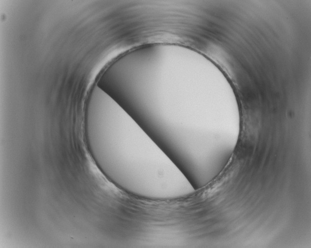 X0000089461000200706151101