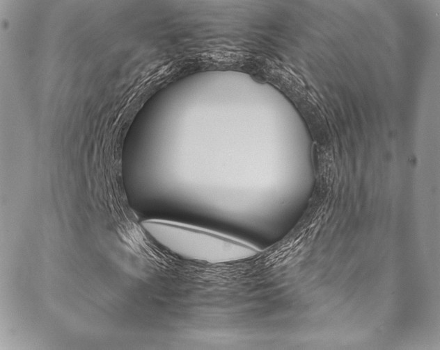 X0000089461009200706151100