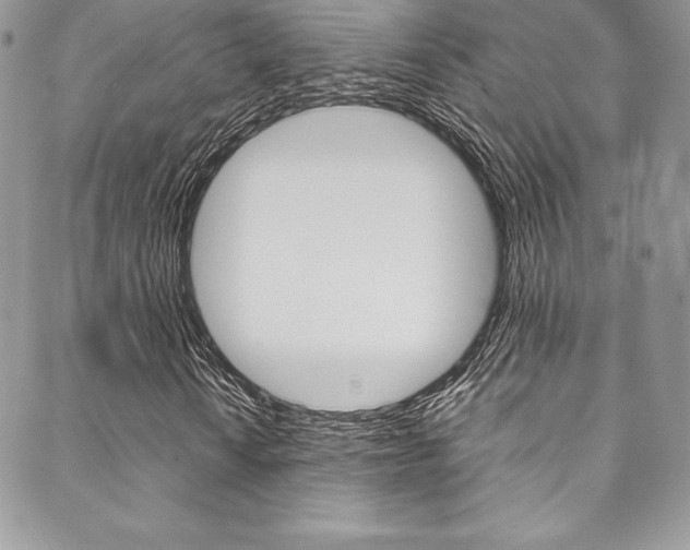 X0000089461010200706151100