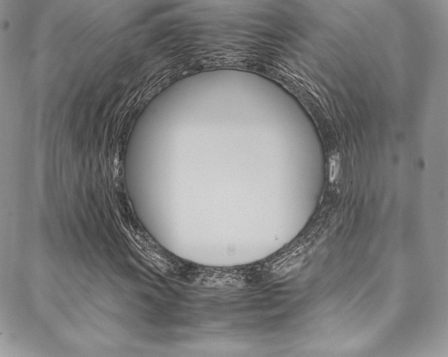X0000089461011200706151100