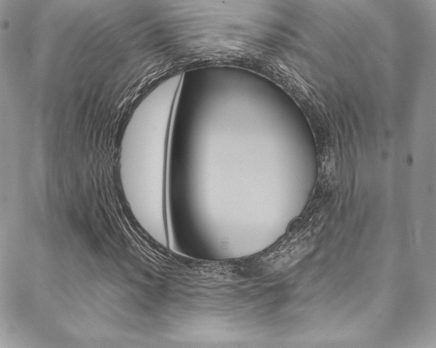 X0000089461012200706151100