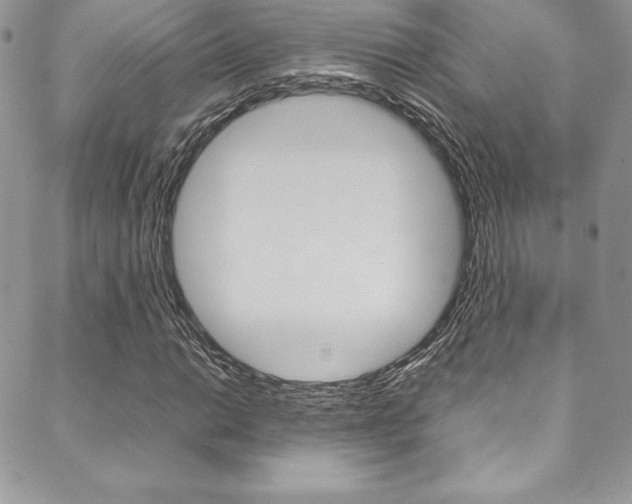 X0000089461014200706151100