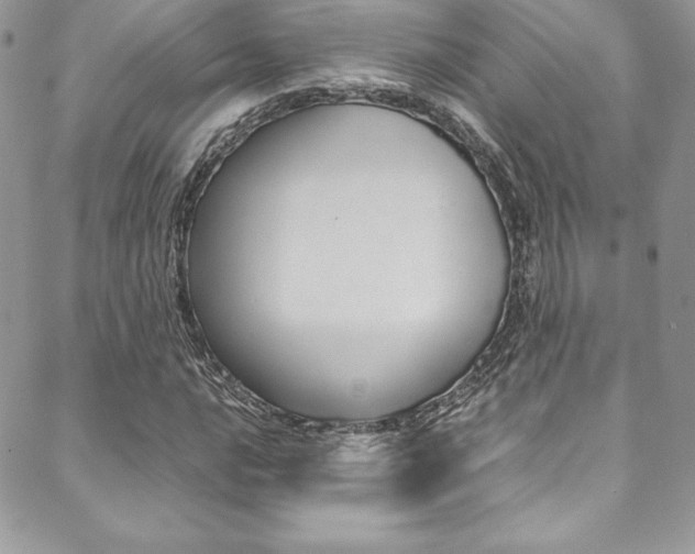 X0000089461016200706151100