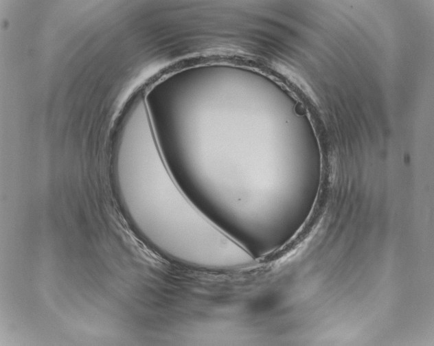 X0000089461021200706151100