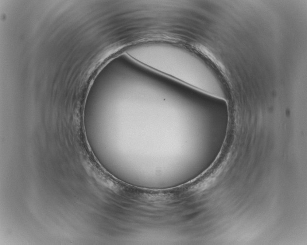 X0000089461025200706151100
