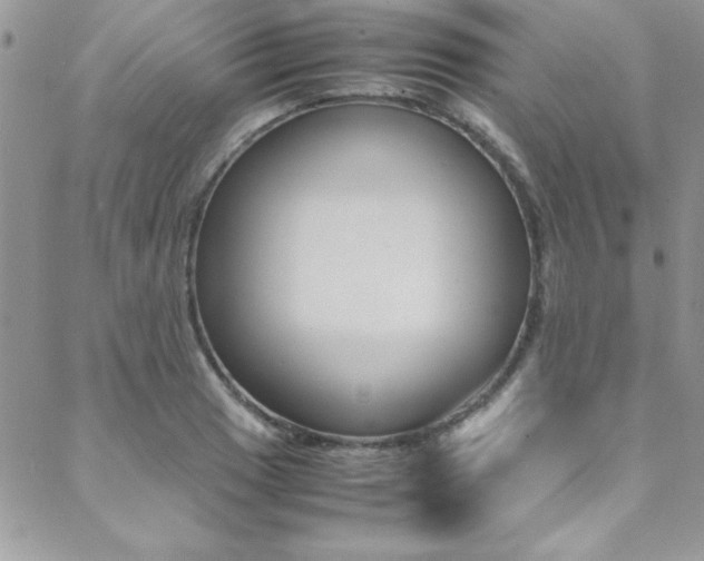 X0000089461033200706151100