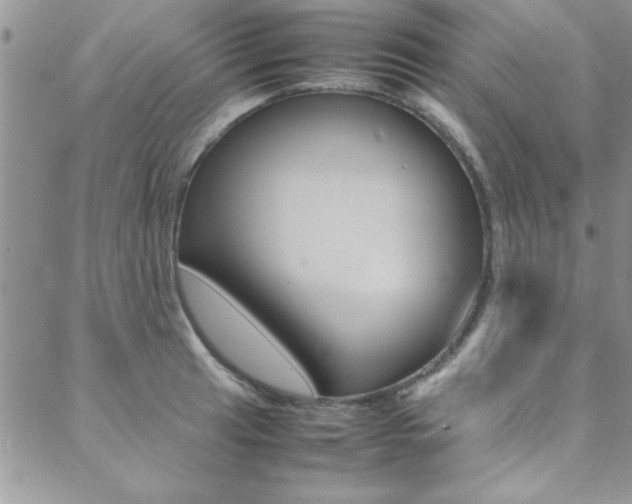 X0000089461041200706151101