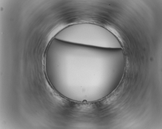 X0000089461047200706151101