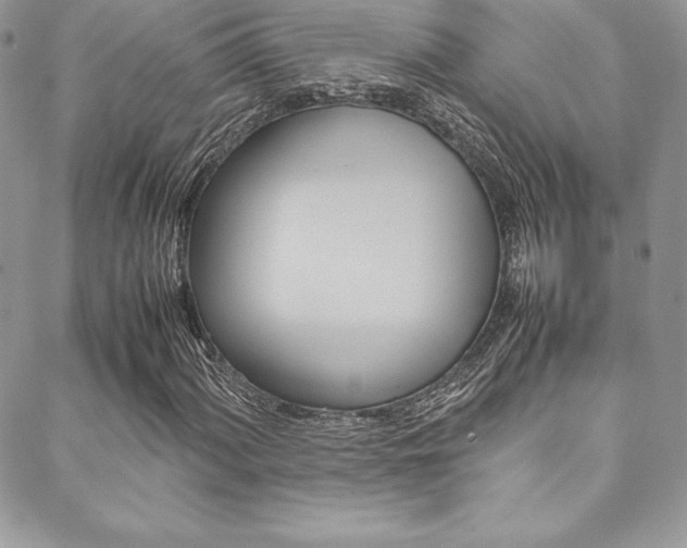 X0000089461060200706151100