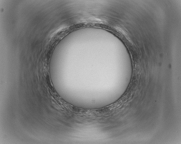 X0000089461063200706151100