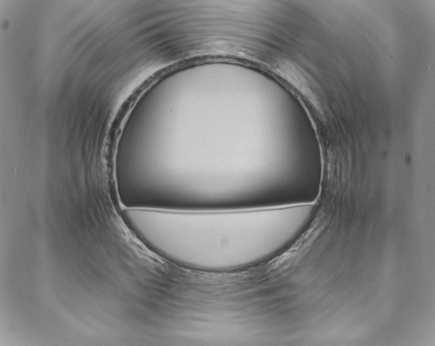 X0000089461068200706151100