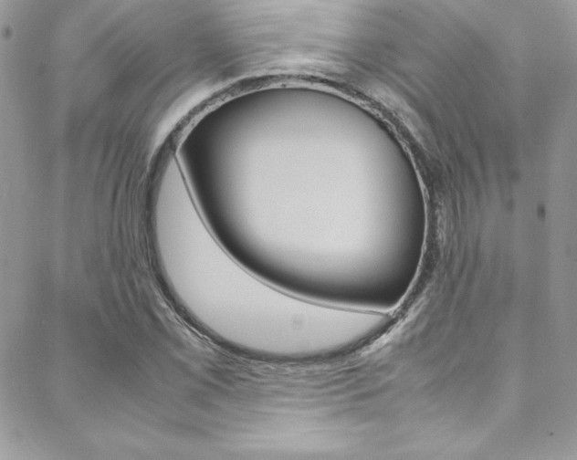 X0000089461069200706151100