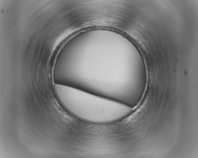X0000089461070200706151100