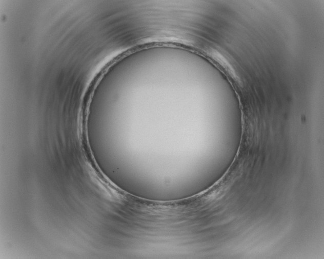 X0000089461076200706151100
