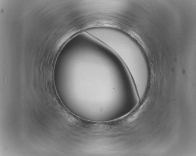 X0000089461081200706151100