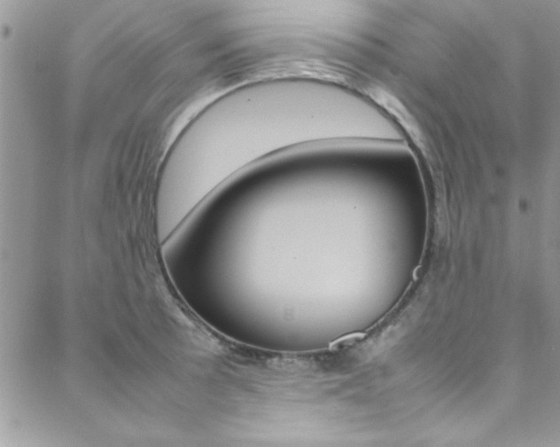 X0000089461089200706151100