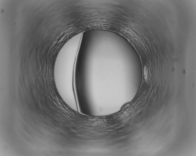 X0000089461107200706151059