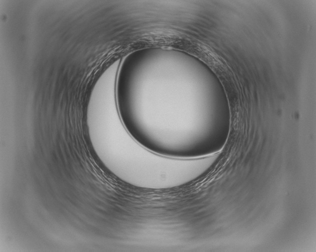 X0000089461108200706151059